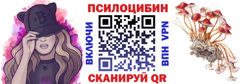купить наркоту  Нарткала  Псилоцибиновые грибы Psilocybe 