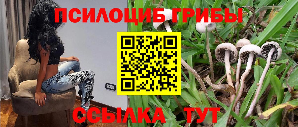 Нарткала  Галлюциногенные грибы Psilocybe  Псилоцибиновые грибы прущие грибы  Вход с VPN 